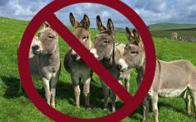 Don’t Let Donkey’s Run Texas | 2020 Republican Primary Endorsements