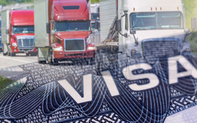 Expired Visas & Illegals – End Trucker Licensing