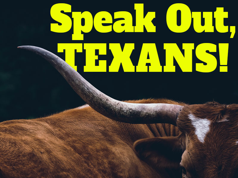 Ten 2026 Primary Propositions